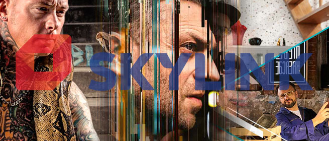 Skylink Multi 12 months + HD CI+ receveir + CAM